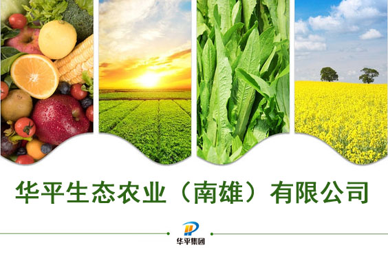 B体育生态农业（南雄）有限公司2.jpg